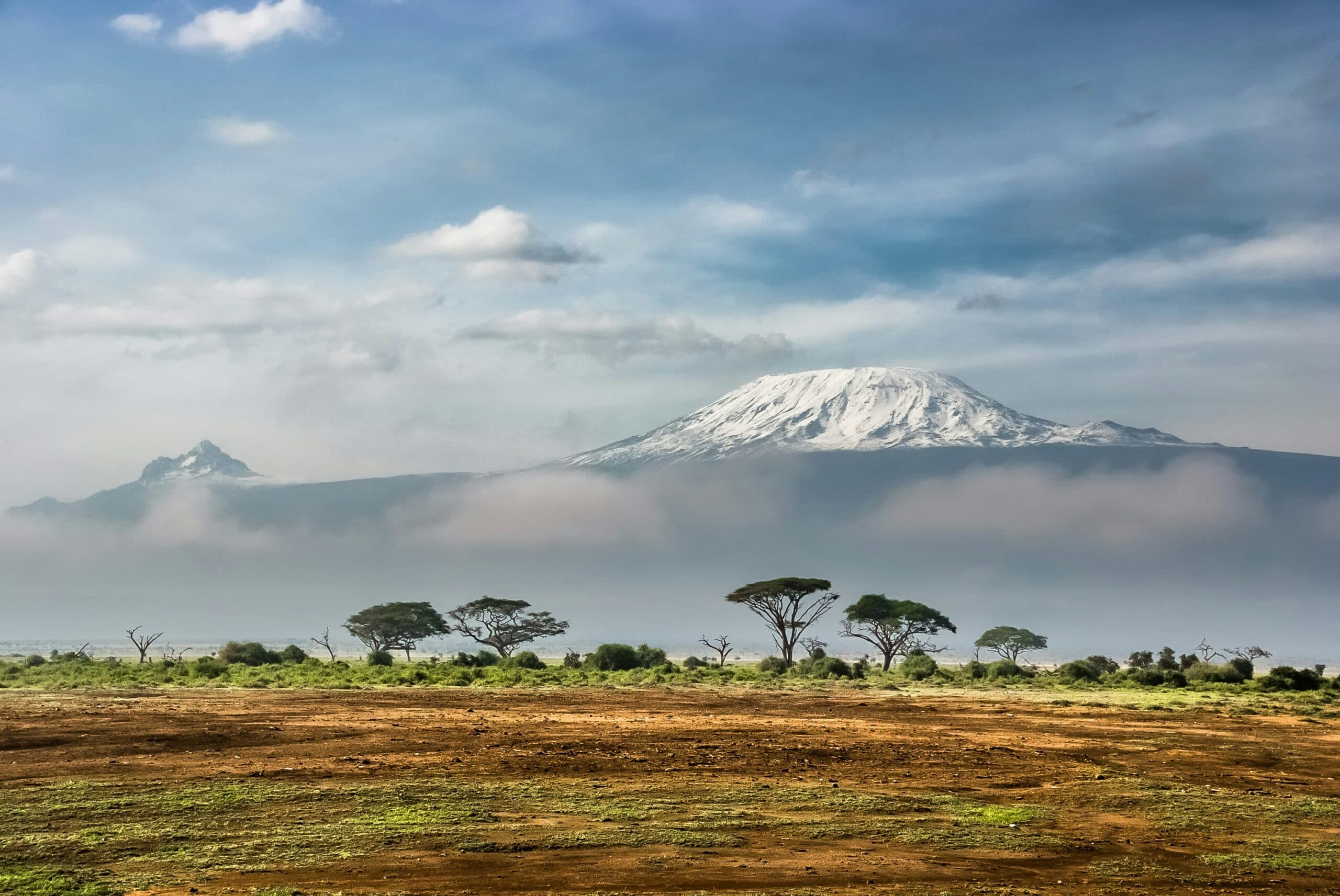 Elephants beneath Mount Kilimanjaro in Amboseli