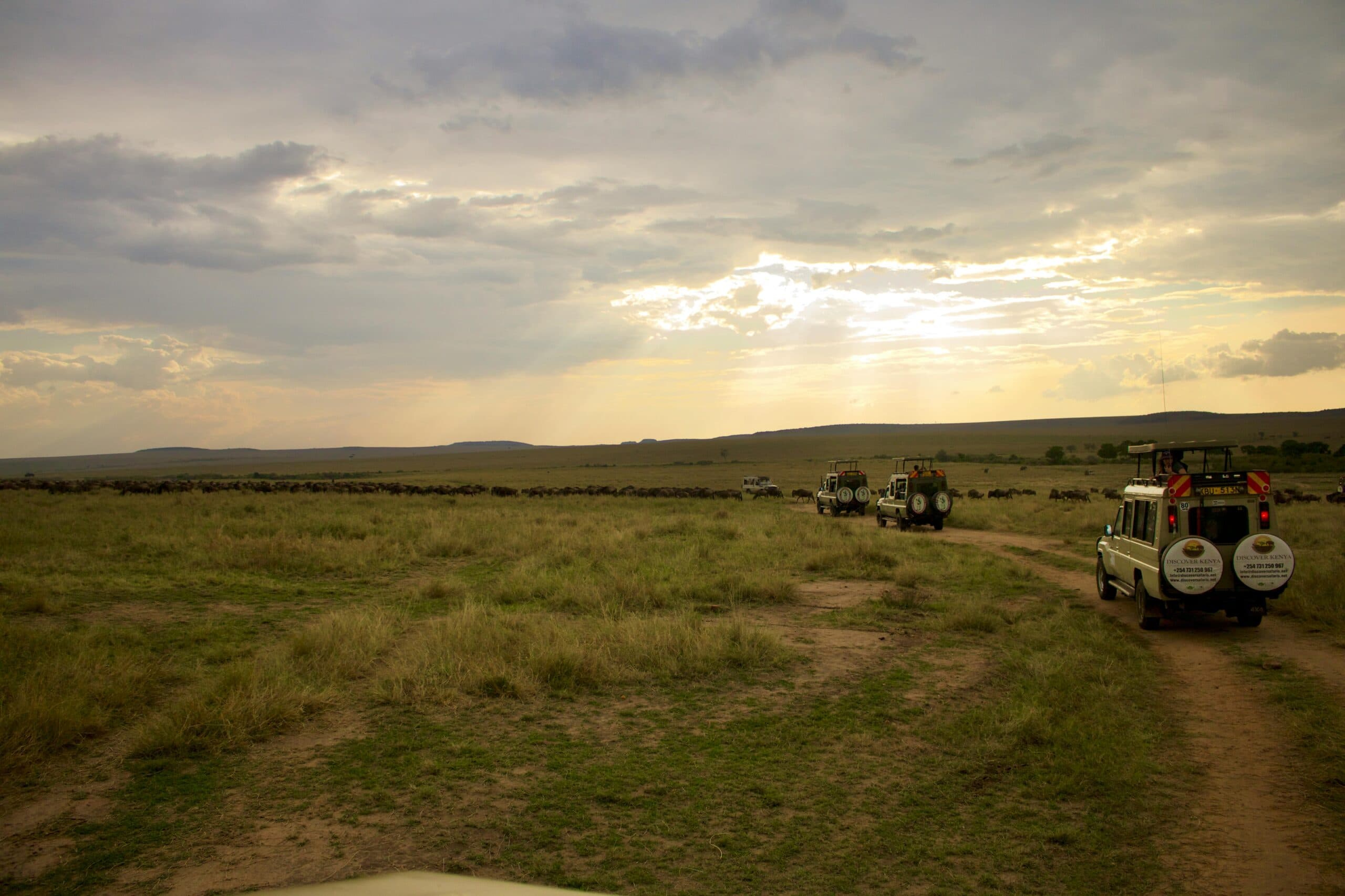 Maasai Mara safari