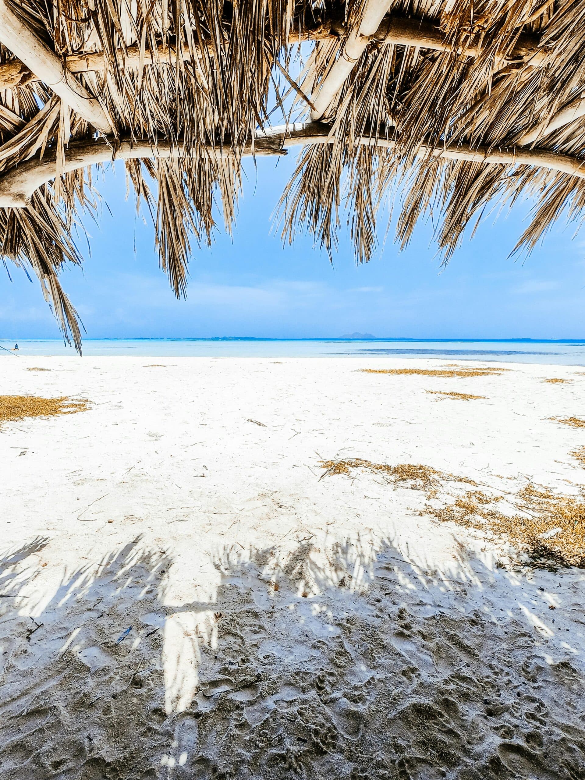 Mombasa coast