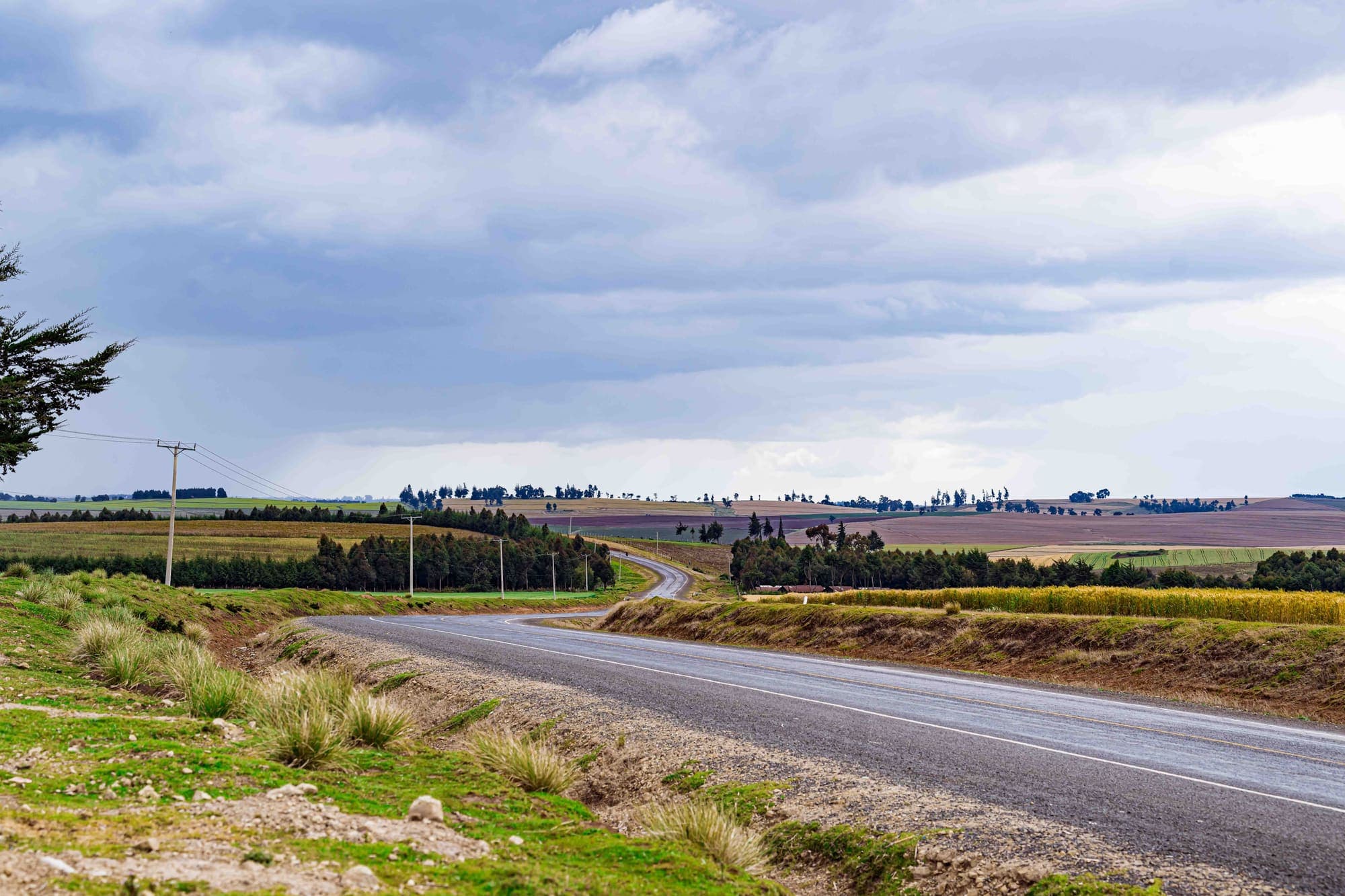 A tarmac road curving through cultivated highland farmland under heavy cloud