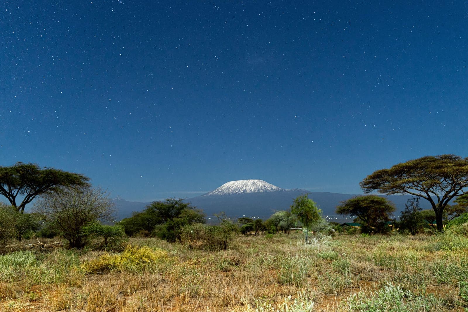 Kilimanjaro rising over the Amboseli scrub at first light