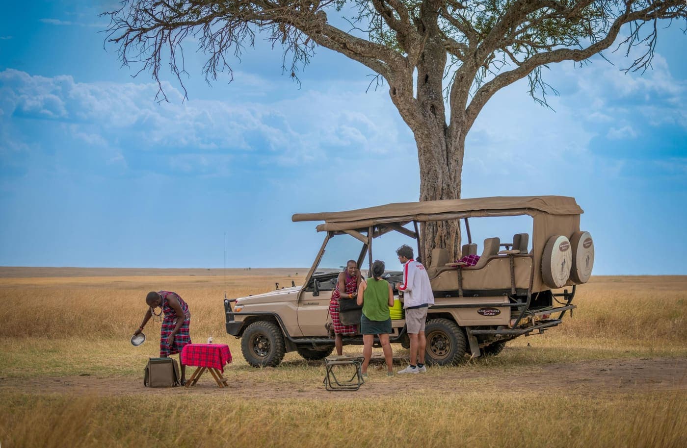 A guide setting out a bush breakfast beside a safari vehicle